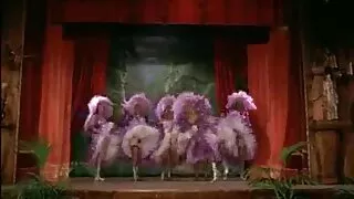 Negritos putain de Kurva blanc dans le cul. sex grosse femme